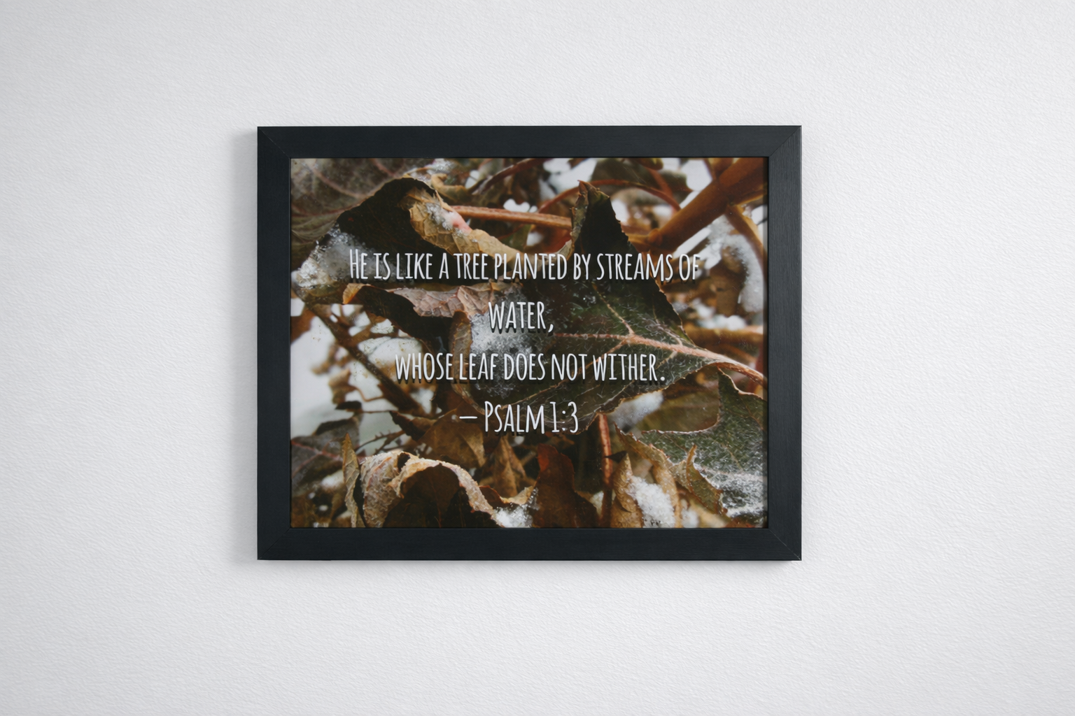 Psalm 1:3 Frame